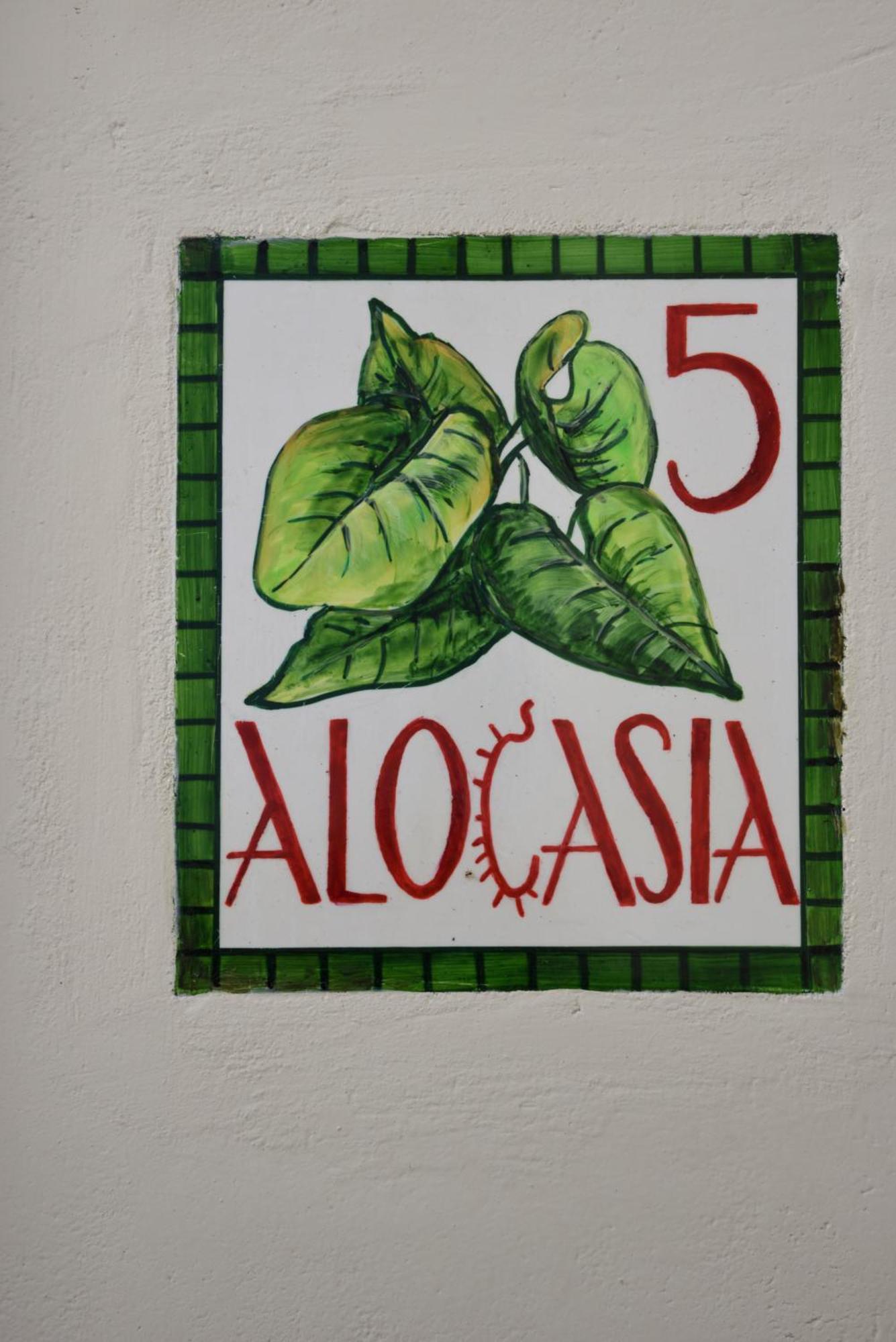 Cactus Hydra - Art Apartments Ruang foto