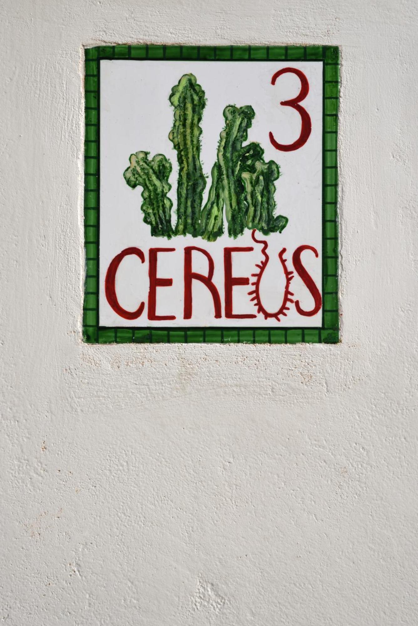 Cactus Hydra - Art Apartments Ruang foto